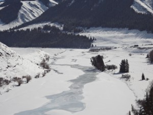 DSC04957