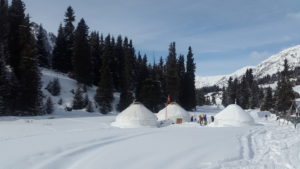 Ski Touring
